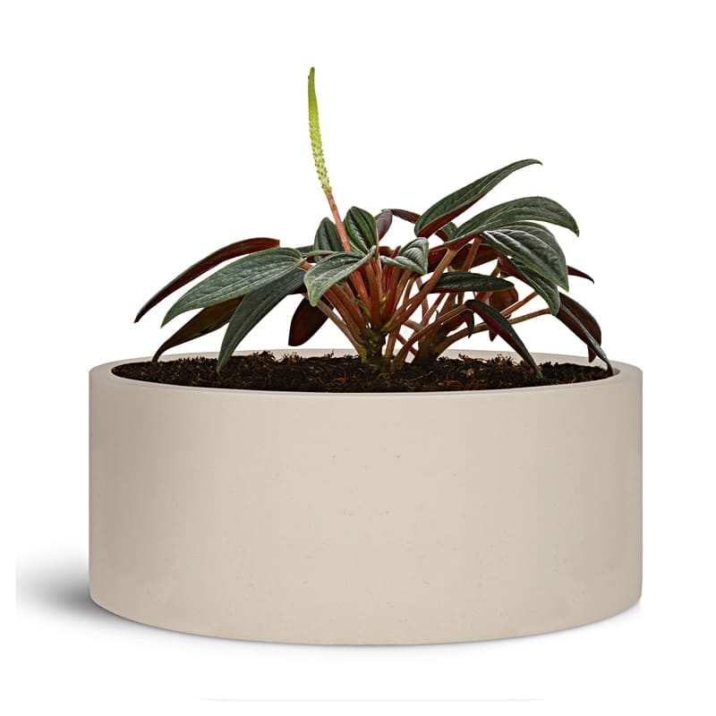 Fotografía de producto sobre fondo blanco. Fotografia para ecommerce